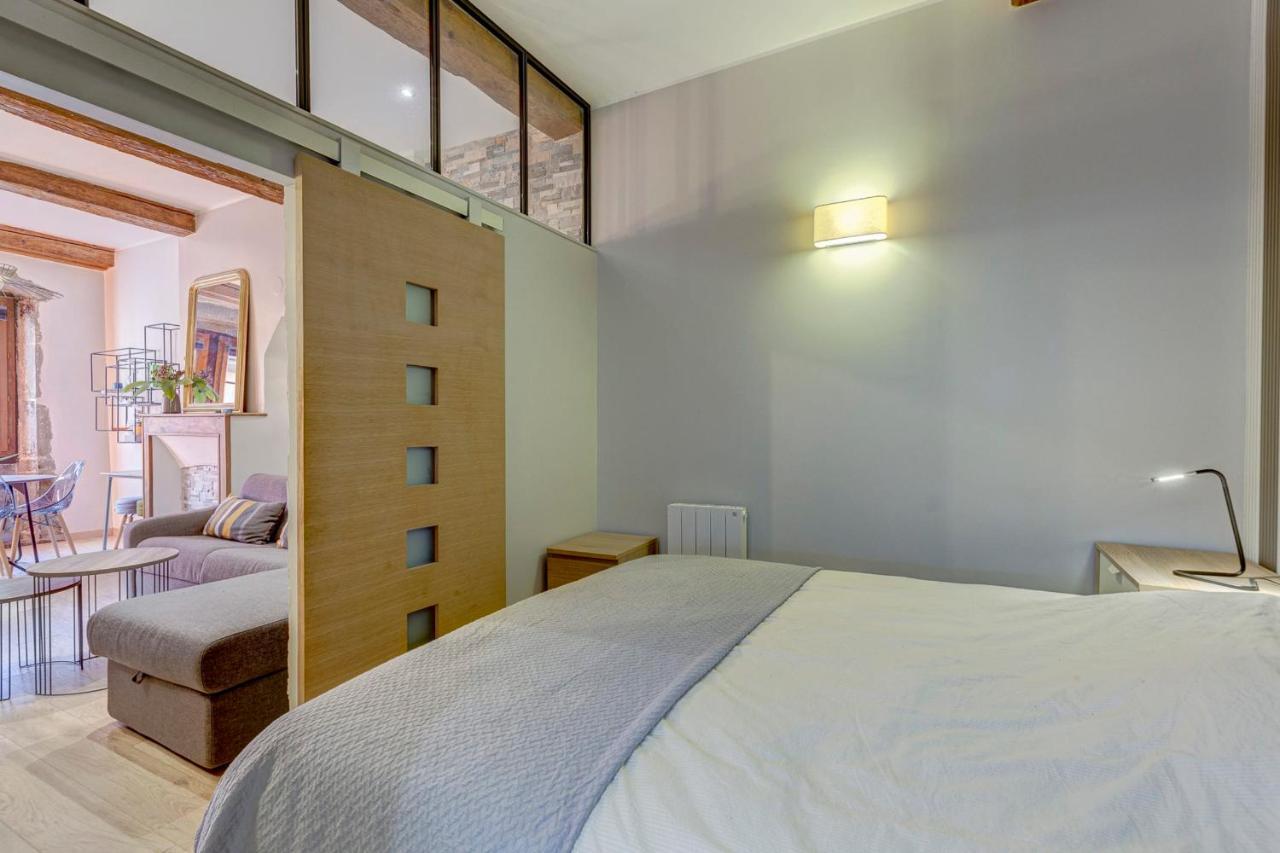 Le Carnot 29 - Bel appartement en plein coeur d'Annecy Buitenkant foto